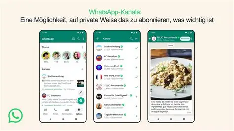 国内安卓手机装WhatsApp？手把手教你避开所有坑